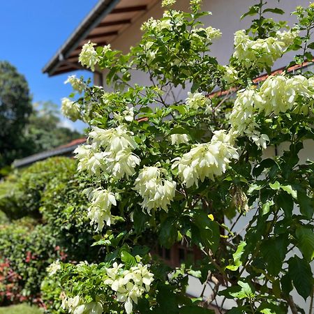 Вилла Garden Haven Хиккадува Экстерьер фото